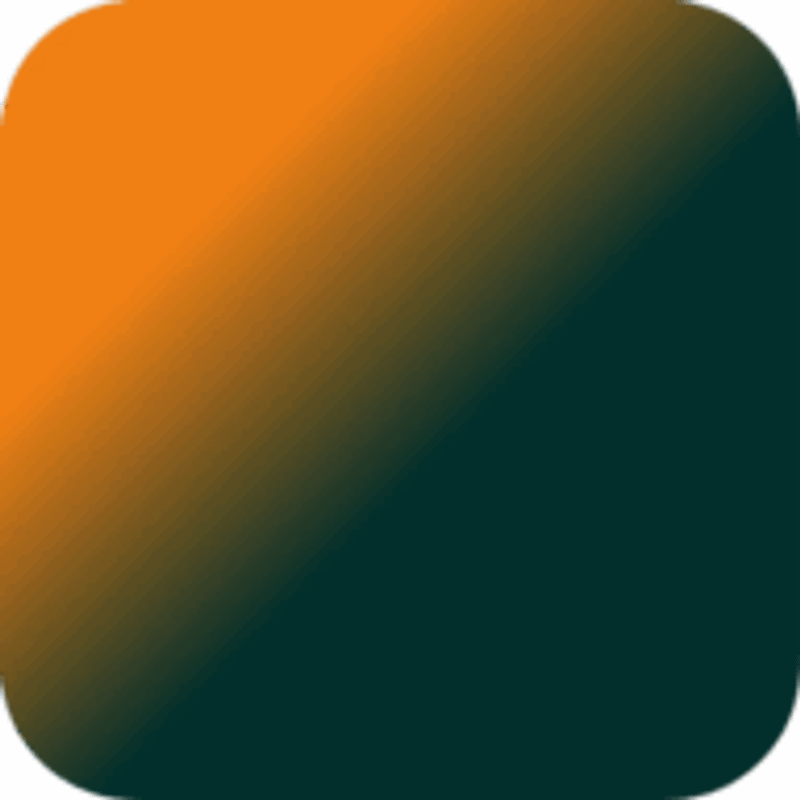 Sven Froese - SOLUTION FINDER Logo