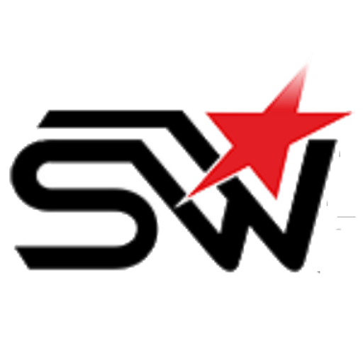 sw-exclusiv.de Logo