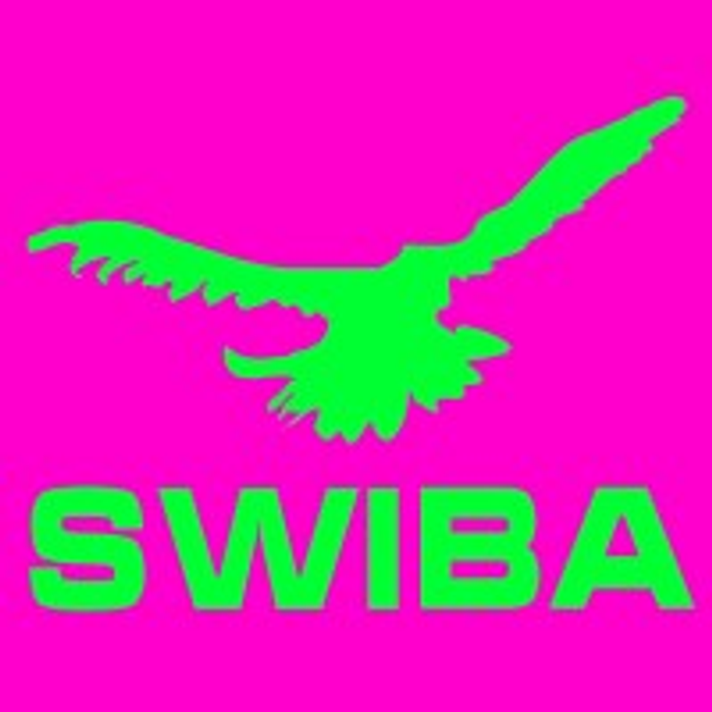 Swiss Battery Logo