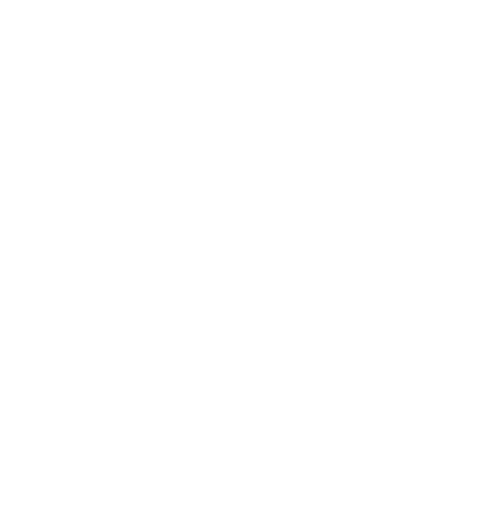 Sportschule Fichtner Kampfkunstschule Logo