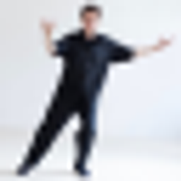 Weber Rolf Schule für Tai Chi Logo
