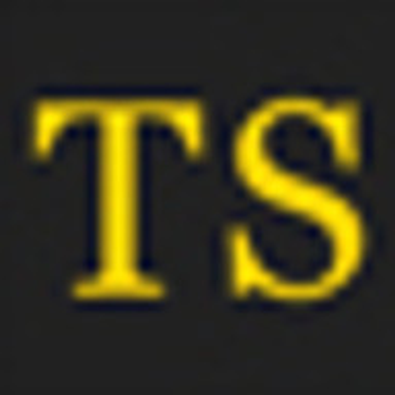 Talentsupport Logo