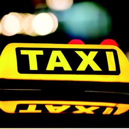 Taxi Dessau Logo