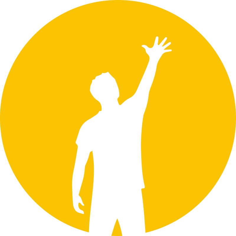 TAXILink Ticino Logo