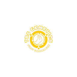 tbsgenetics.com Logo