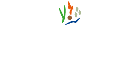 Heilpraktikerin Mikolajetz Nicole Logo