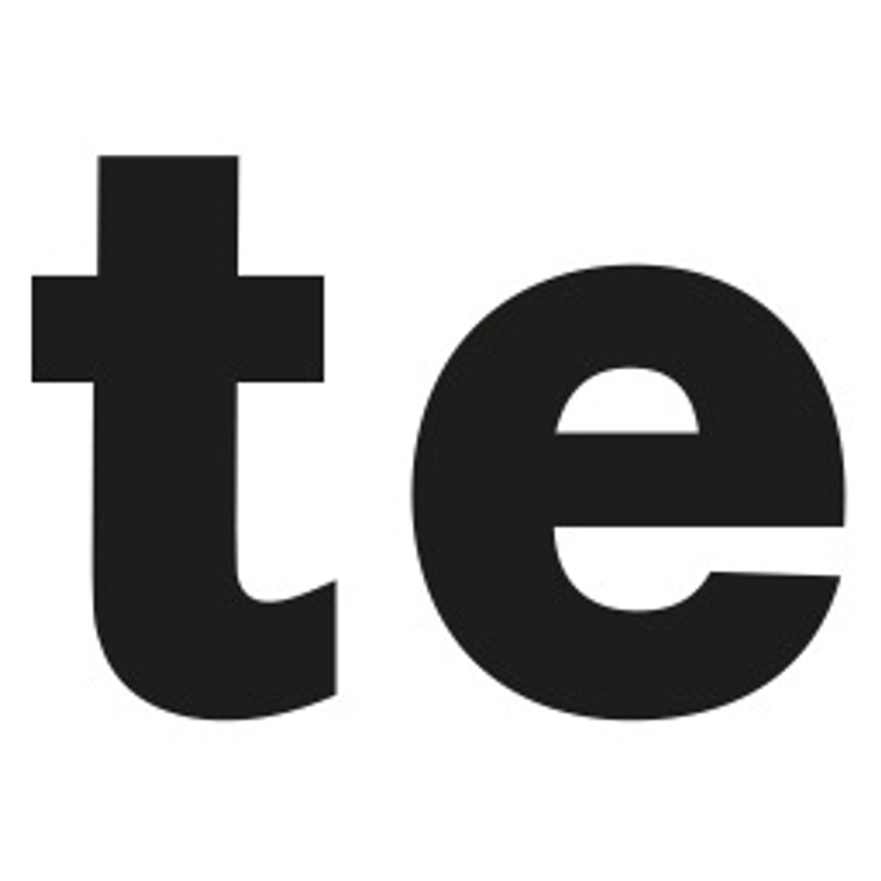 Te Mgmt Logo