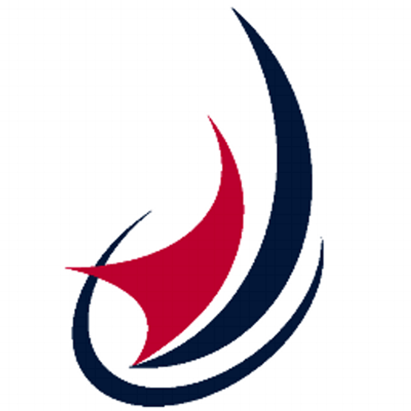 teamgeist.com Logo