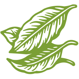 Teeblätter-Versand - www.teeblaetter-shop.de Logo