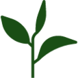 Teekampagne Logo