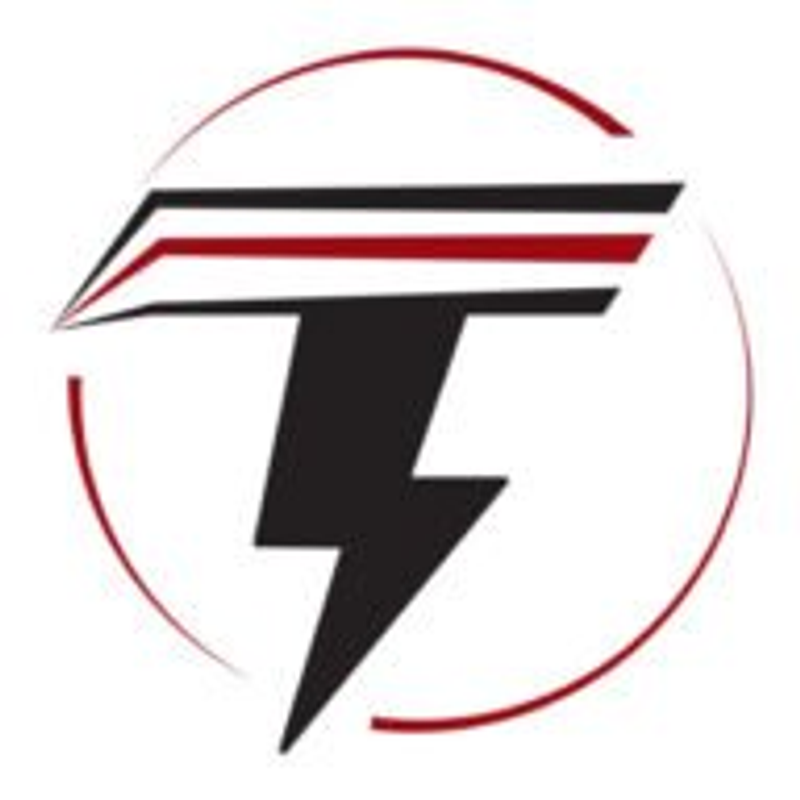 TELA GmbH Logo