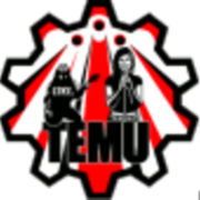 Temu Logo