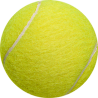 Vollmann Tennisschule Logo