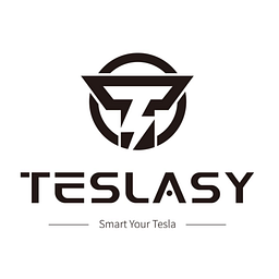 Teslasy Logo