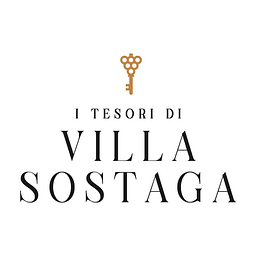 Tesoridivillasostaga Logo