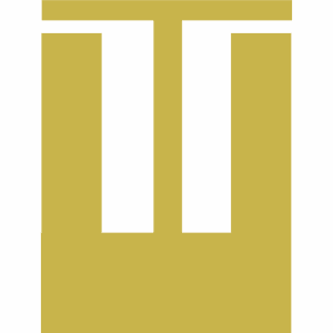 Weber Thomas Musiker Logo