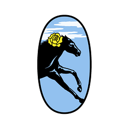Sleeper Logo