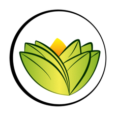 theayurvedaexperience.eu Logo