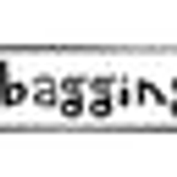 Thebaggingco Logo
