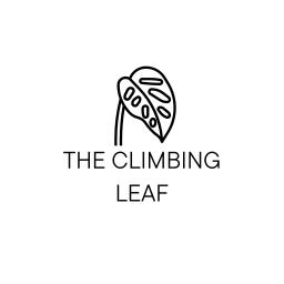 The Climbing Leaf Logo