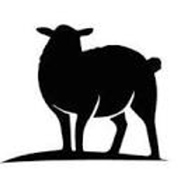 The Cozy Sheep Logo