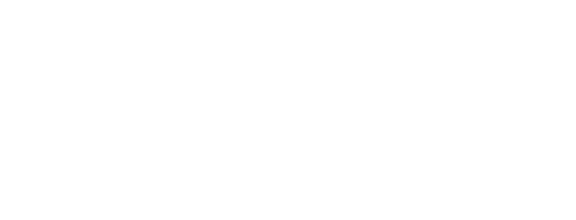 The Free Website Guys Logo