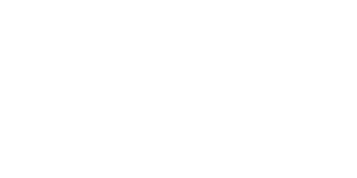 The Illusionist Distillery GmbH Logo