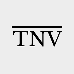 Webdesign & SEO Optimierung | The New View Logo