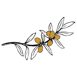 Theoliveoilco Logo