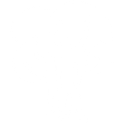 Schaefgen Rega Zisi Logo