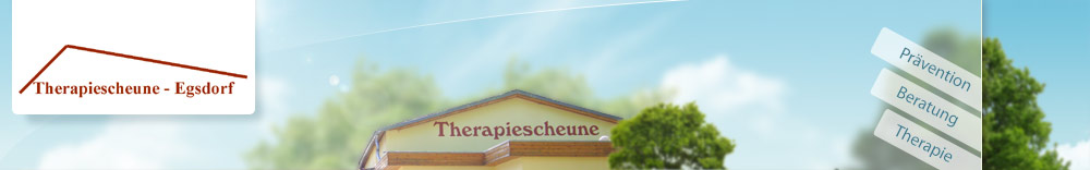 Noack R. Physiotherapie Logo