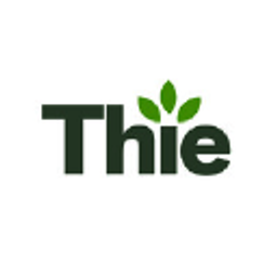 thie-electronics.de Logo