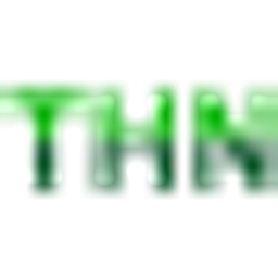 THN Tief-Hoch- und Naturbau GmbH Logo