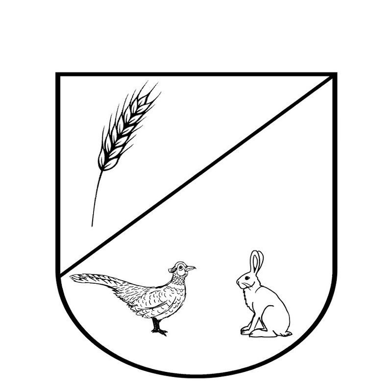 Software Ingenieur Thomas Paulussen Logo