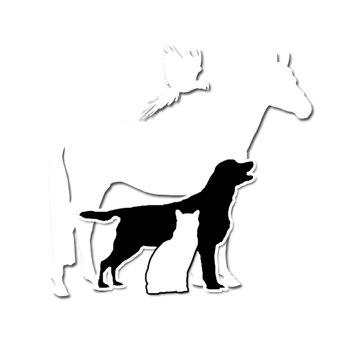 E. Pautsch & C. Schultenkämper GbR Tierärztliche Gemeinschaftspraxis Logo