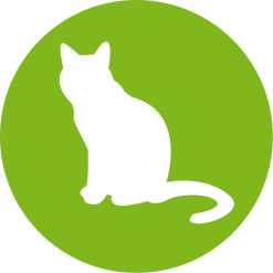 Tierano Logo