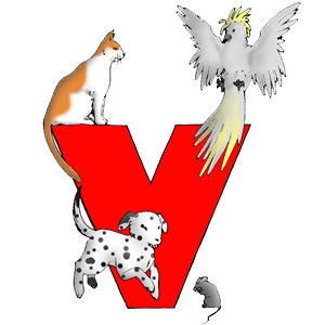 Tierärztliche Kleintierpraxis am Höhenweg Tierärztliche Kleintierpraxis Logo
