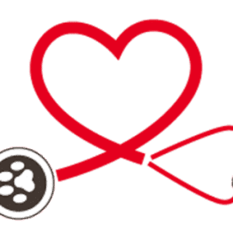 Tierarzt Karlsruhe Durlach Logo