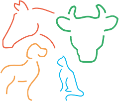 Schuster Frank Dr. Logo
