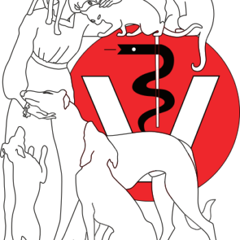 Tierarztpraxis Kammbach Logo