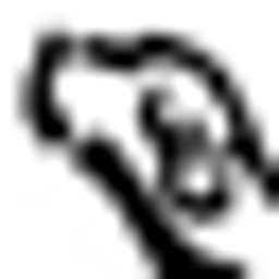 Seiberth Birgit Tierarztpraxis Logo
