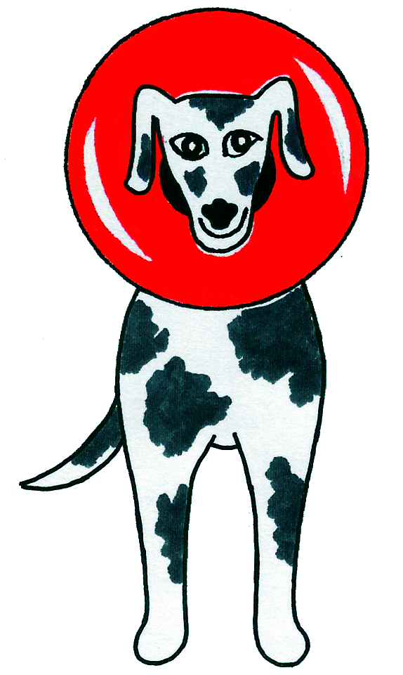 Schäfer Rainer Dr. Tierarztpraxis Logo