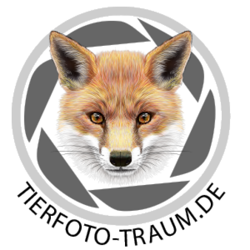 Tierfoto Traum Logo
