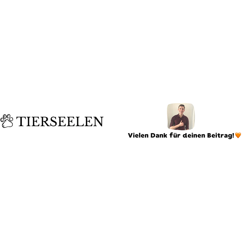 Tierseelen Logo