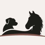 Tiertherapie Mittenwald - Maria Oberhollenzer Logo