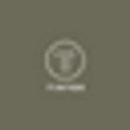 Tintok Logo