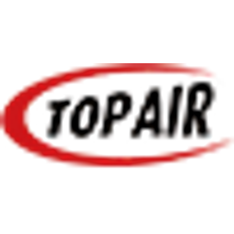 Airbrush Geckler Logo