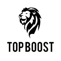 TopBoost - Boosting for LOL, Valorant, TFT & Others. Logo