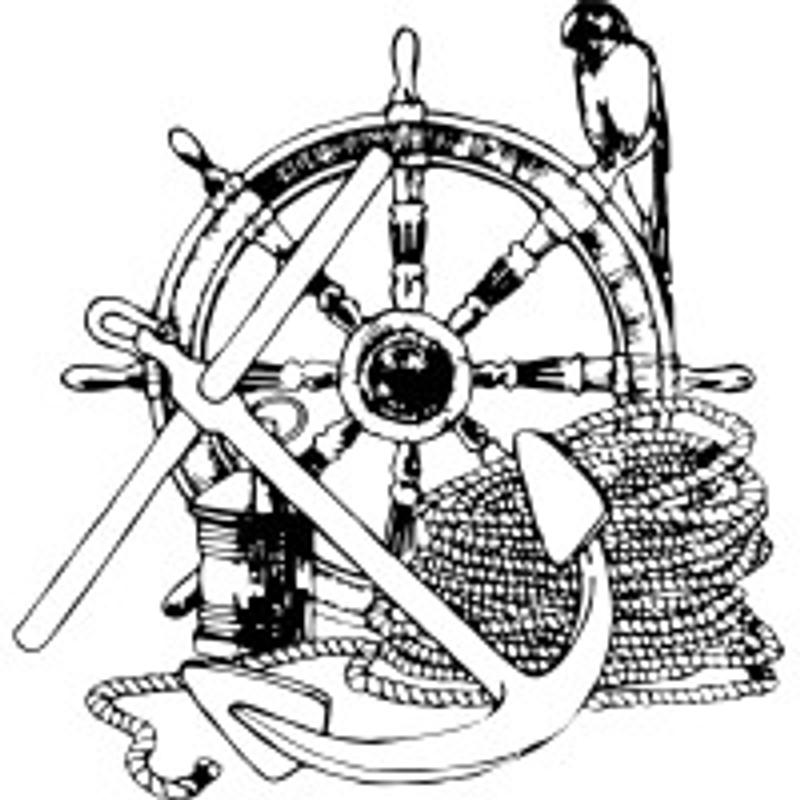 Toplicht Logo