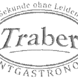 Traber Event GmbH CO KG Logo